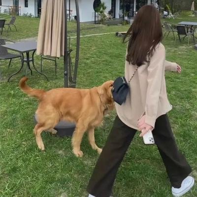 反恐无间道